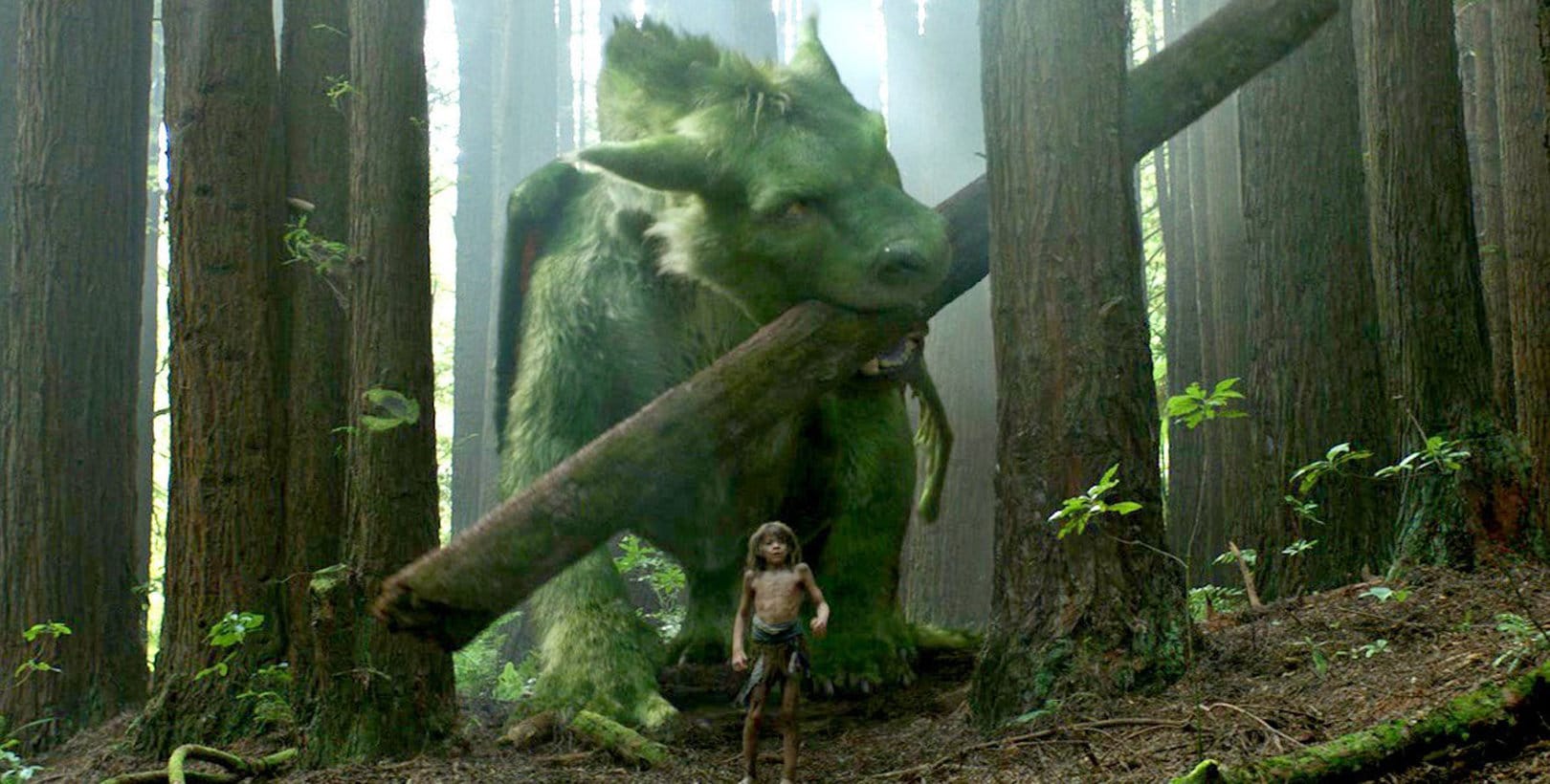 Elliott avec Peter dans la forêt