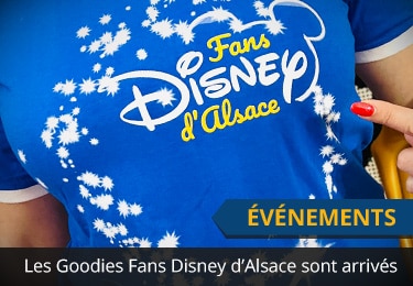 Commander des t-shirts Fans Disney d'Alsace