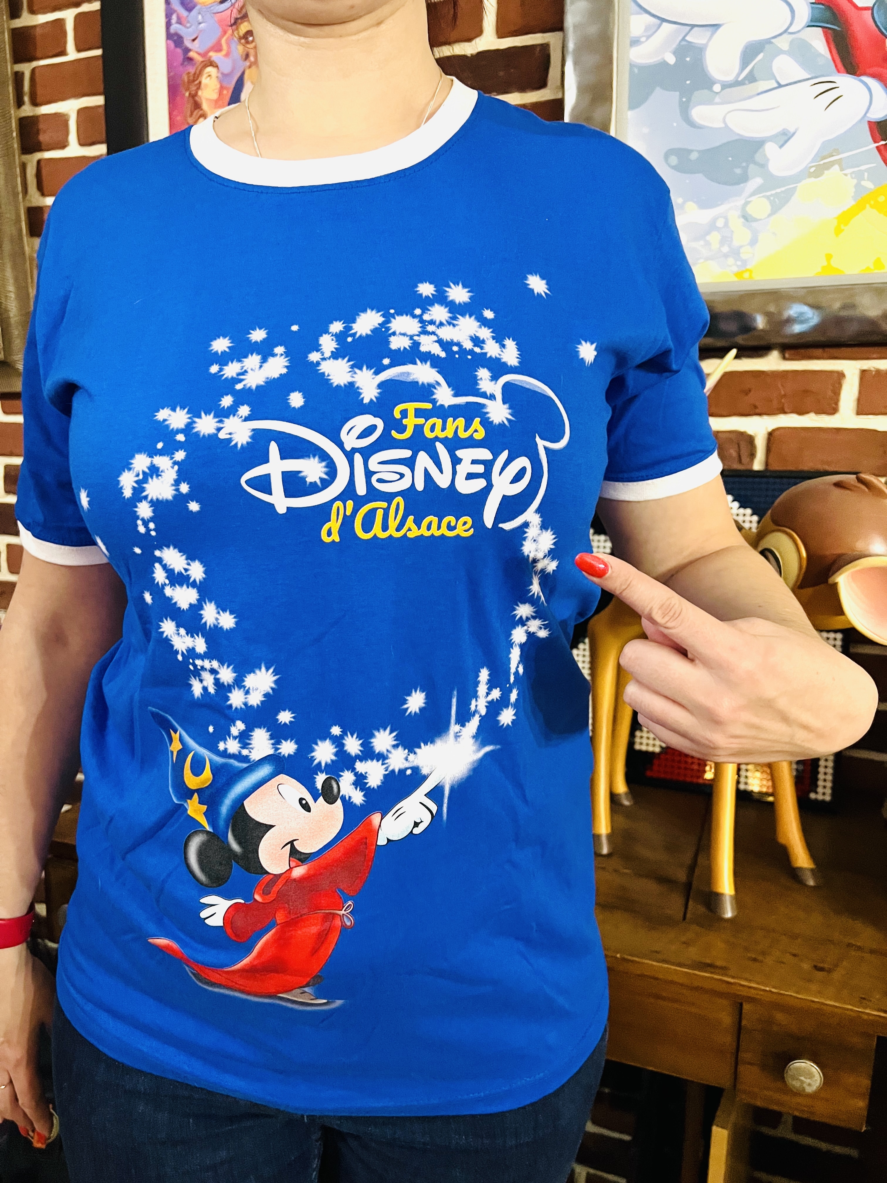 T Shirts Fans Disney d'Alsace